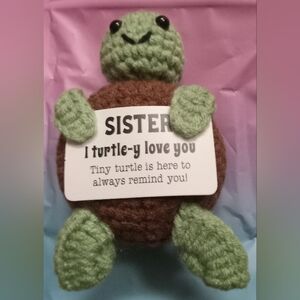 Crochet Turtle Plush Sister Gift